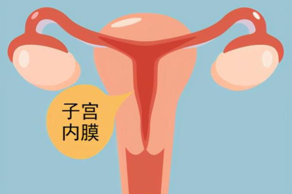 武汉代生和试管婴儿 2023武汉大学人民医院试管婴